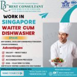 Singapore Waiter Cum Dishwasher