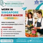 Singapore Flower Maker